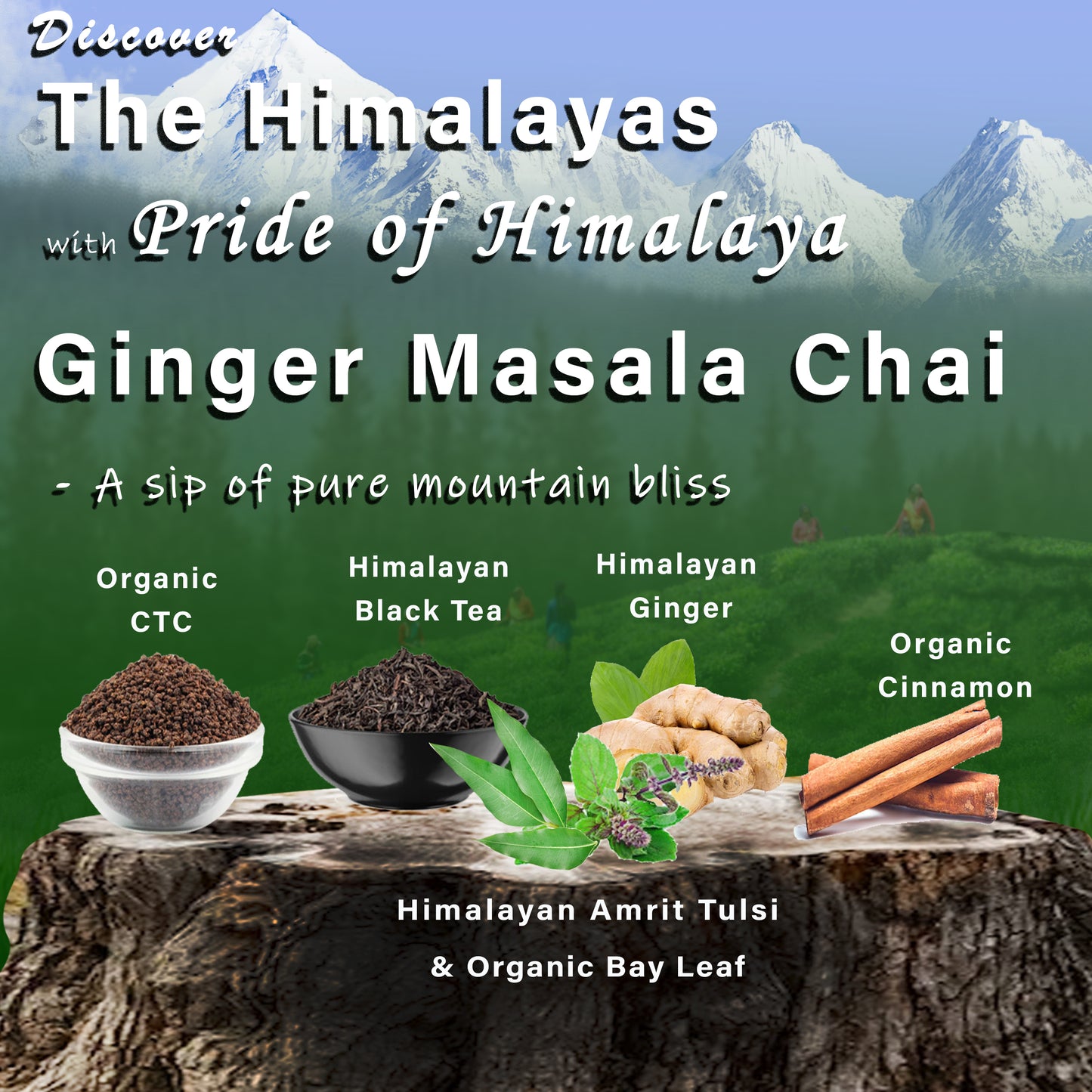 Masala chai patti, Masala chai black tea, chai masala, elaichi chai masala , chai masala flavour, kadak masala chai, masala chai mix, organic masala chai, masala chai spicy, masala chai pack, masala chai packet, aroma masala tea, masala tea mix, Masala tea spice, masala chai dairy free,masala chai extra spicy, masala chai fast and slow, masala chai from india,