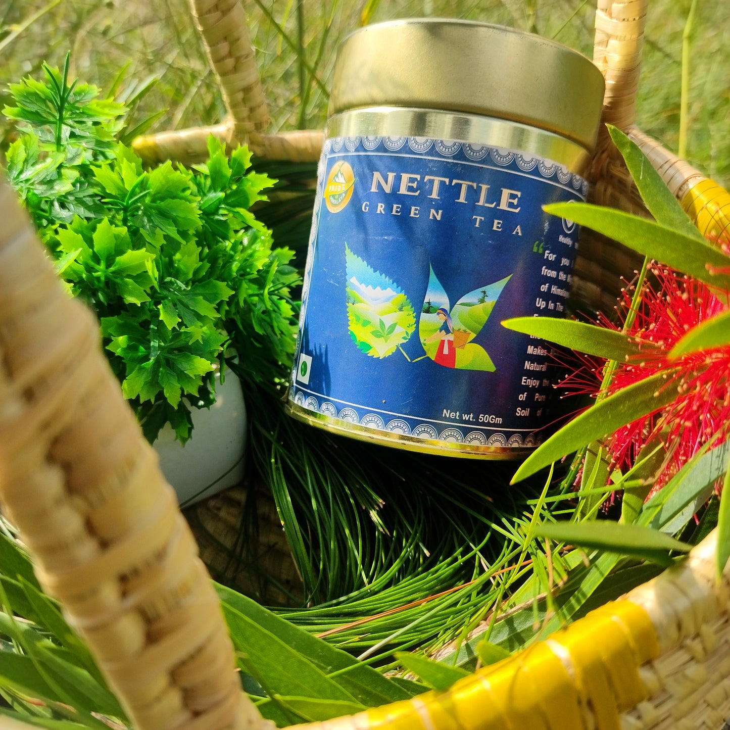 Nettle Green Tea | Loose Leaf | 100 Gm 60+ Cups