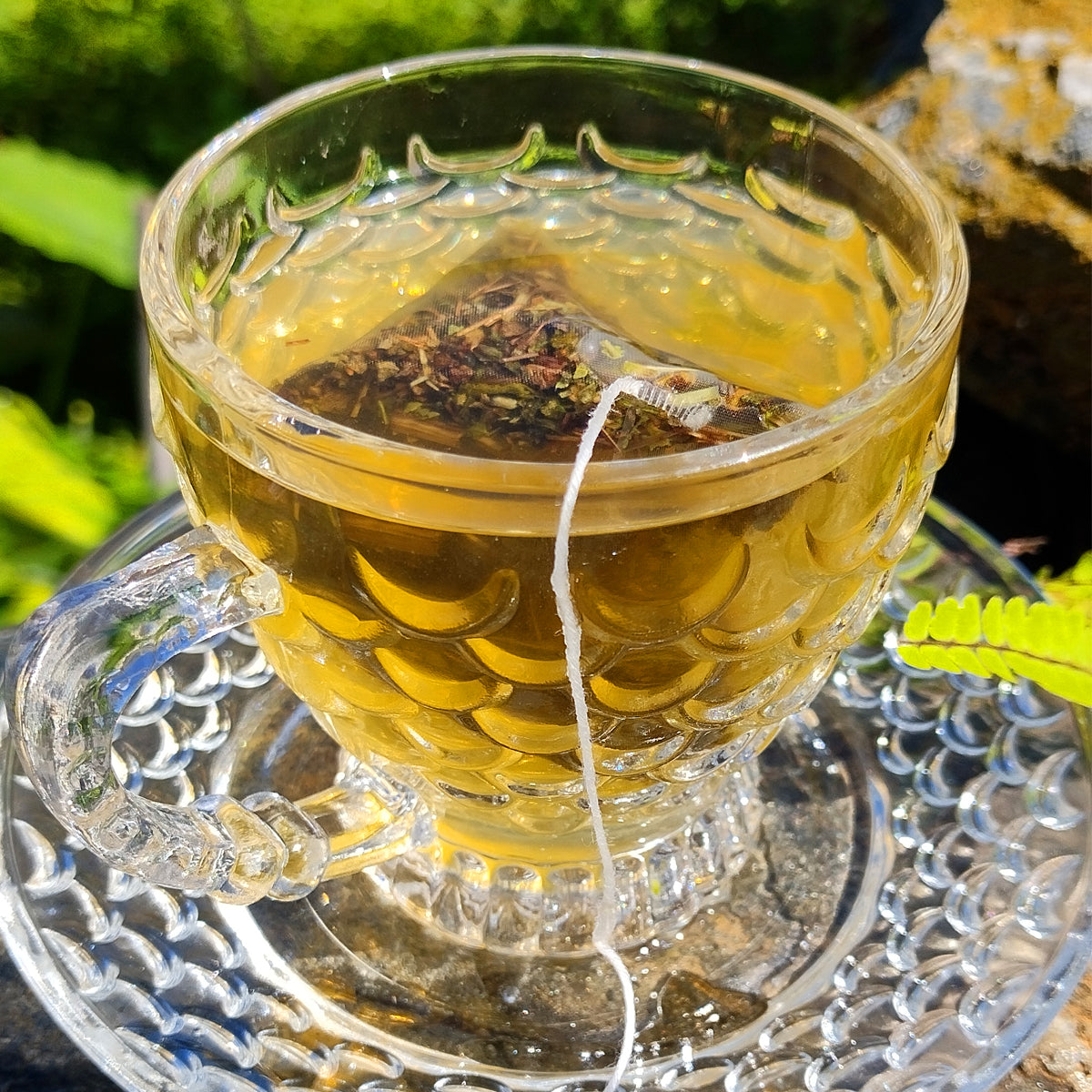 Amla Green Tea| 40 Tea Bags