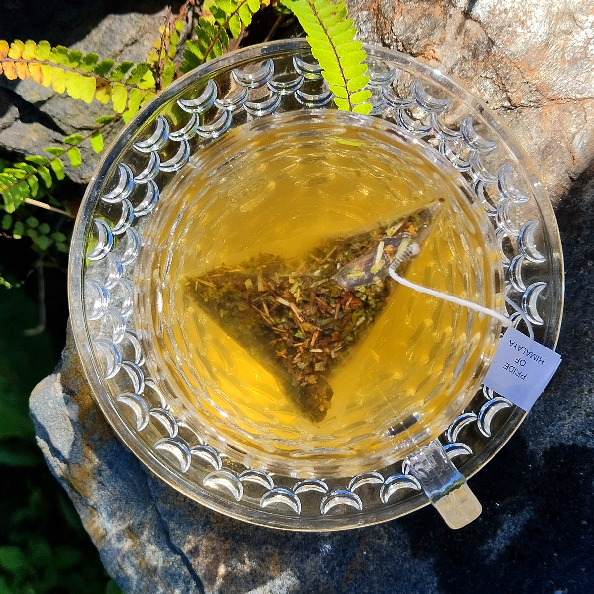 Amla Green Tea| 40 Tea Bags