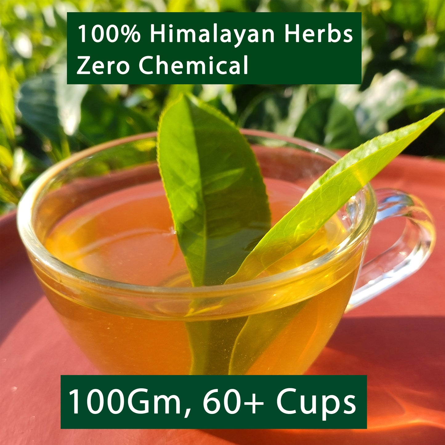 Cinnamon Green Tea| Loose Leaf| 100 Gm 60+Cups