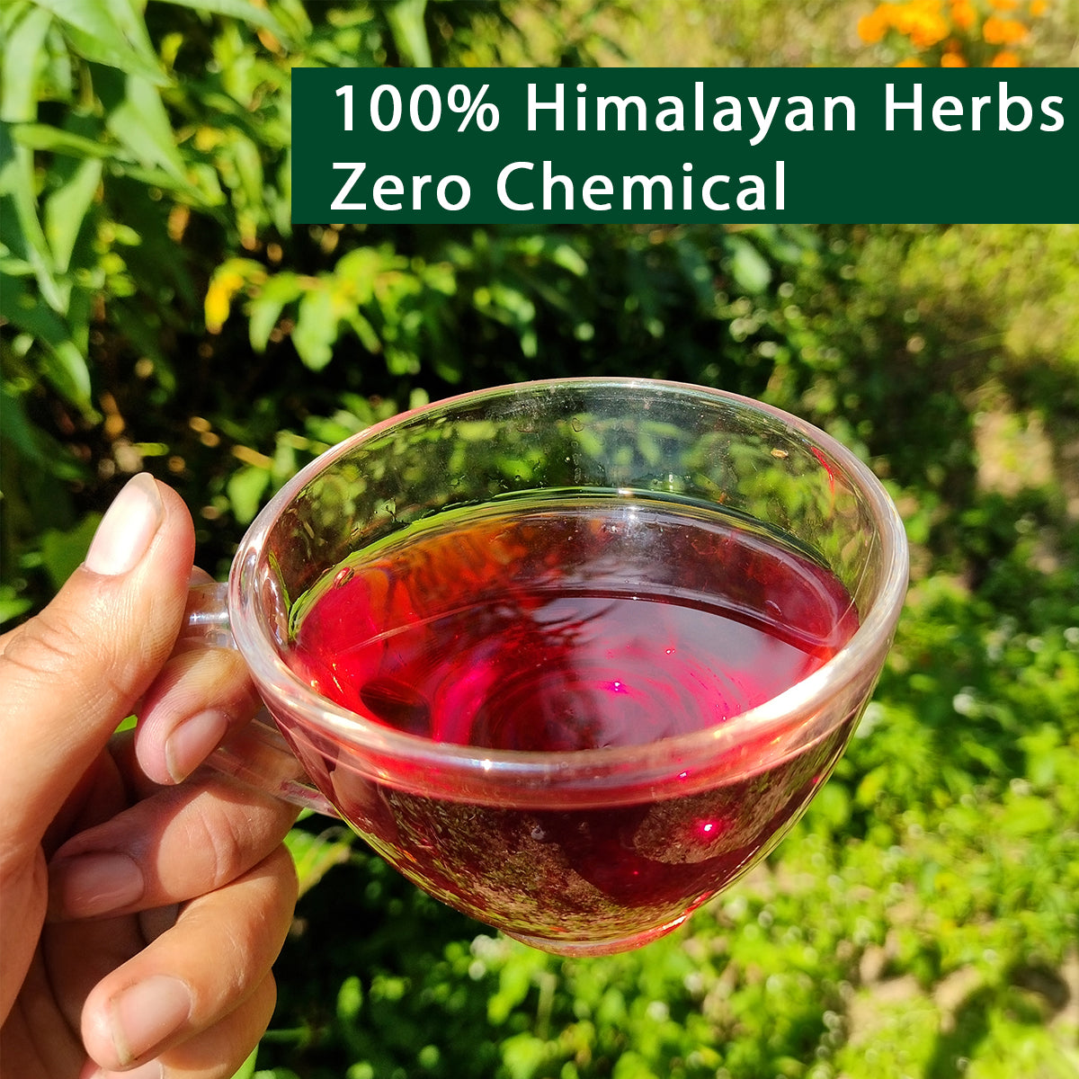Ginger Hibiscus Tea | 40Teabags