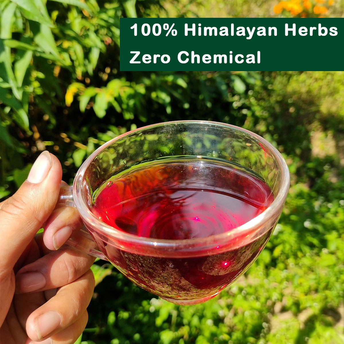 Mint Hibiscus Tea| 40 Teabags
