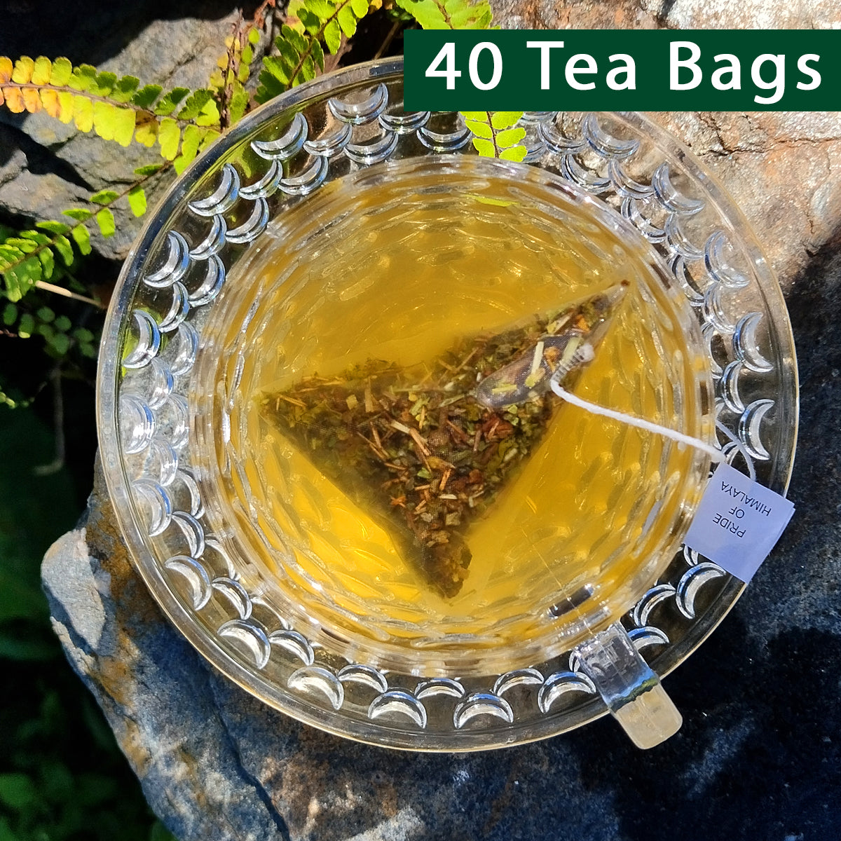 Rosemary Green Tea | 40 Teabags