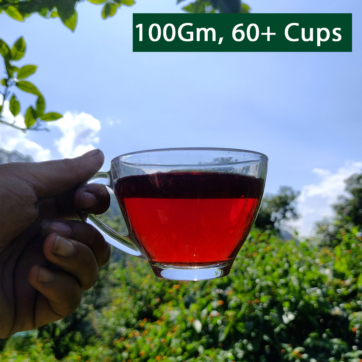 Rose Hibiscus Tea | Loose Leaf |100 GM 60+ Cups