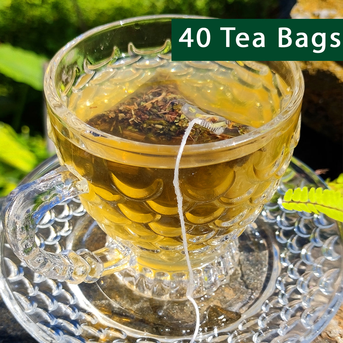 Tulsi Green Tea | 40 Teabags
