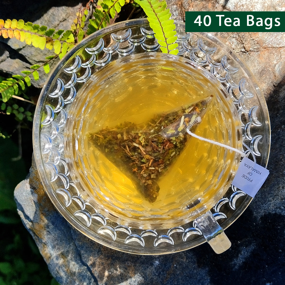 Turmeric Green Tea | 40 Teabags