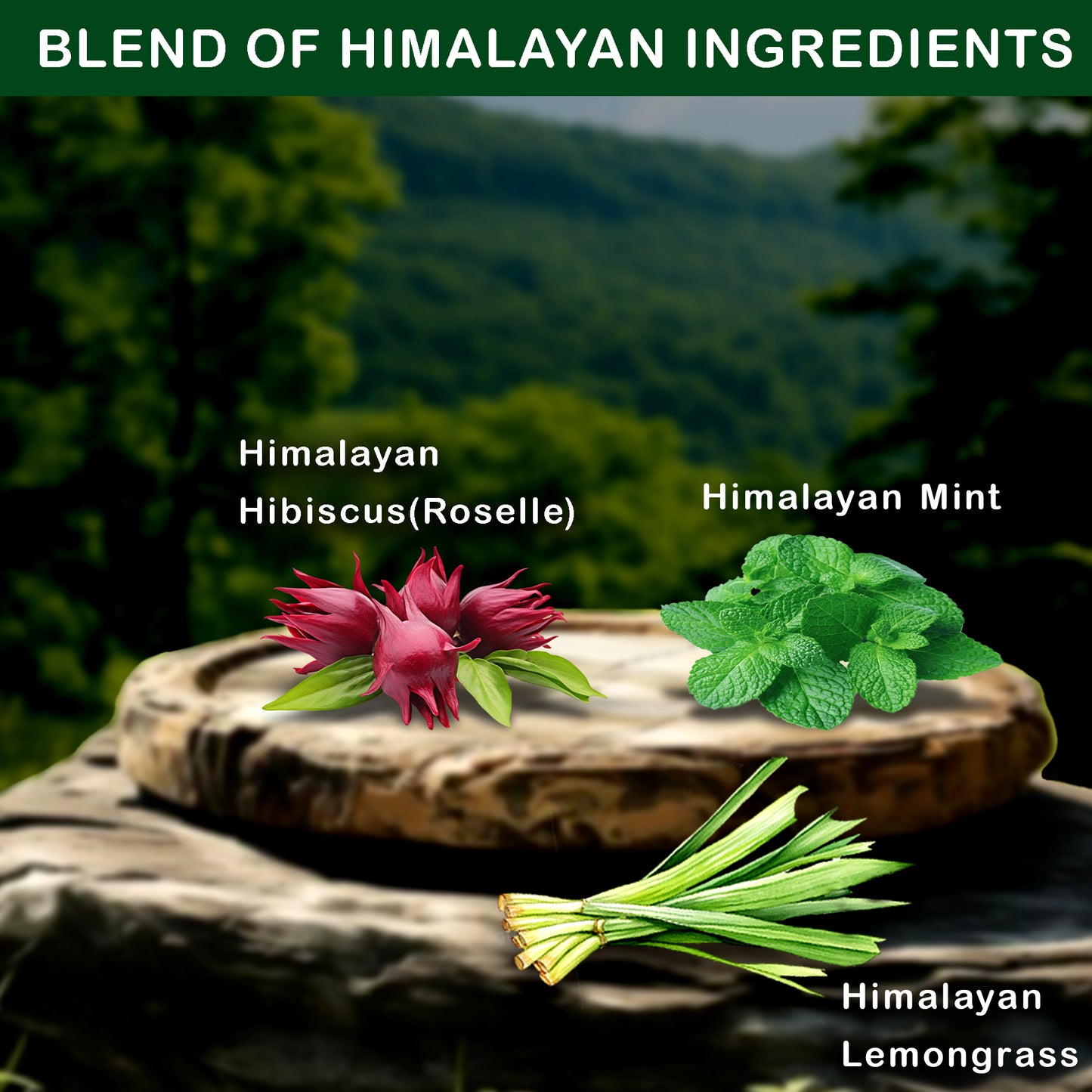 Mint Hibiscus Tea| 40 Teabags