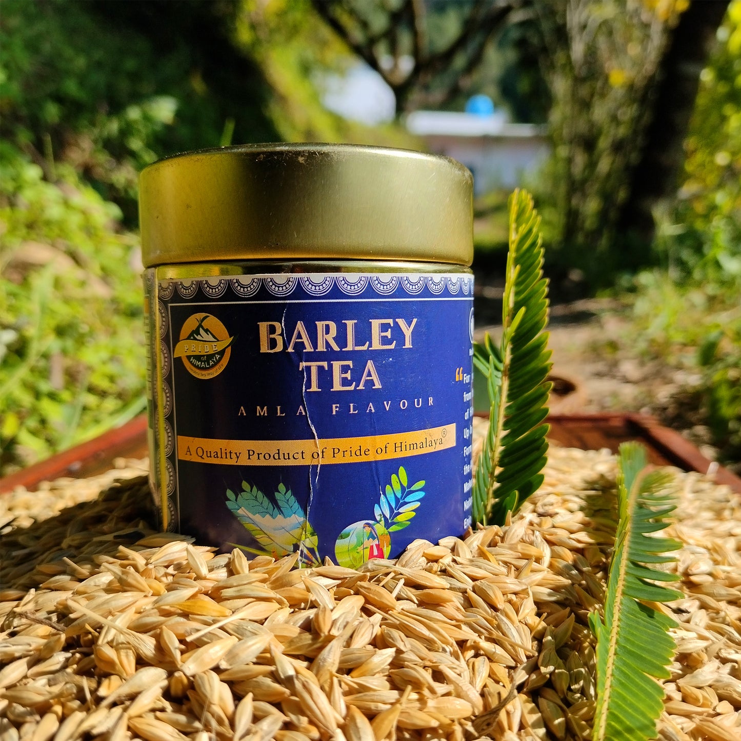 Amla Barley Tea | 50Gm