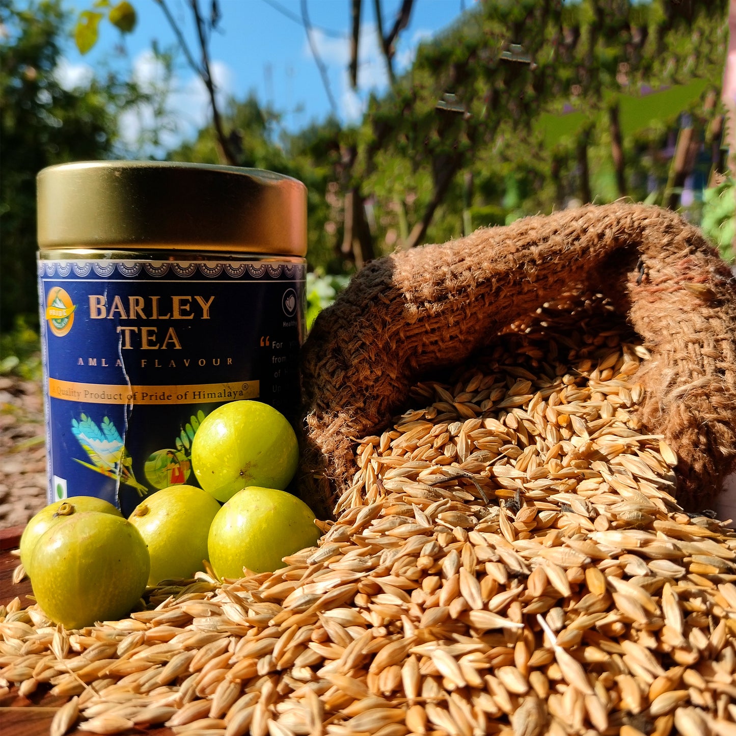 Amla Barley Tea | 50Gm