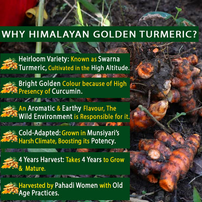 Turmeric Green Tea | 40 Teabags